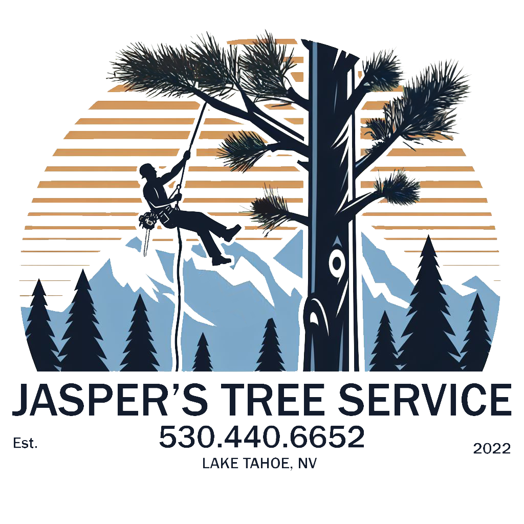 Jasper's Tree Service